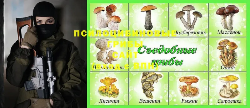 Псилоцибиновые грибы Cubensis  blacksprut как войти  Выкса 